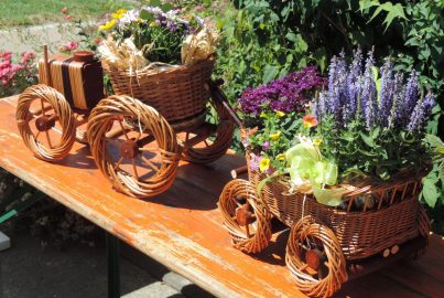 Traktor aus Korb mit Blumen