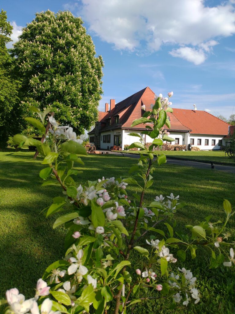 Ferienhaus Ringgau 2022 Apfelblüte Hausansicht Eingang