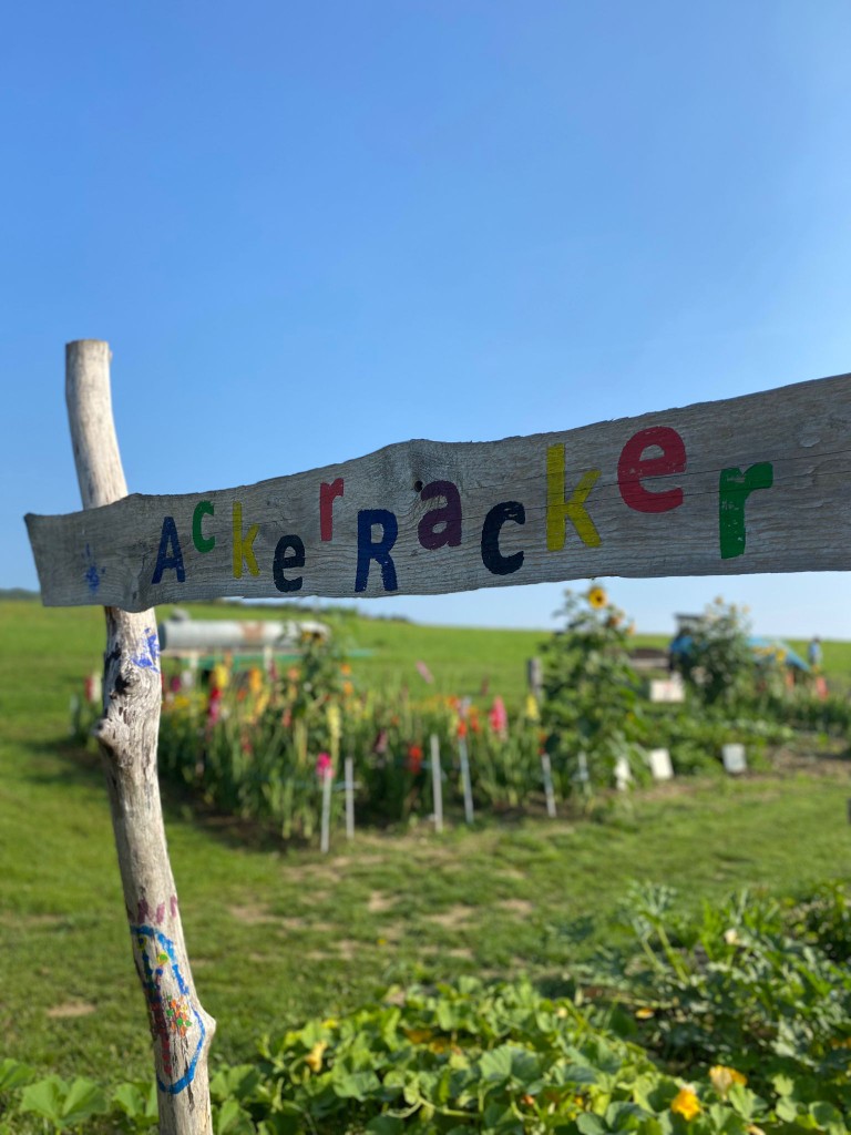 Ackerracker - Kita Kinder und der Bezug zur Natur und Nachhaltigkeit
